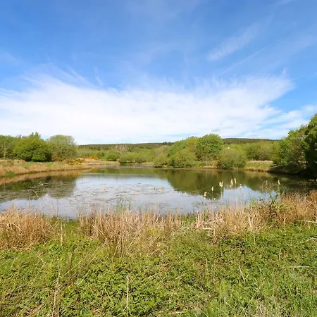 Sycamore - 2 Bedrooms - Sleeps 4 Semesterbostad