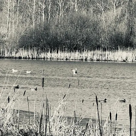 Sycamore - 2 Bedrooms - Sleeps 4 *