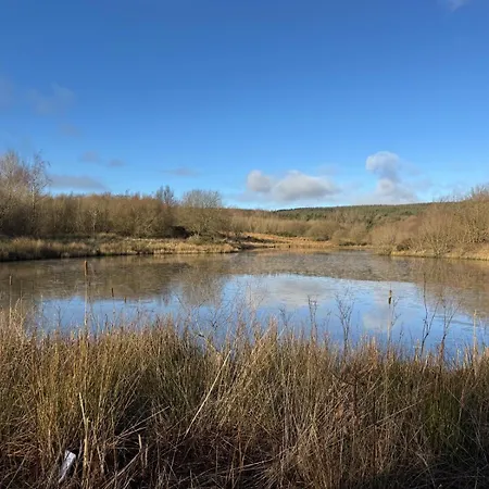 Feriehus Sycamore - 2 Bedrooms - Sleeps 4