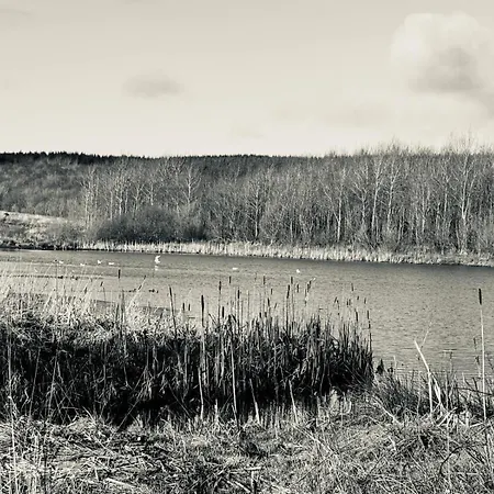 Sycamore - 2 Bedrooms - Sleeps 4 * Frizington